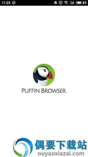 puffin浏览器国际版