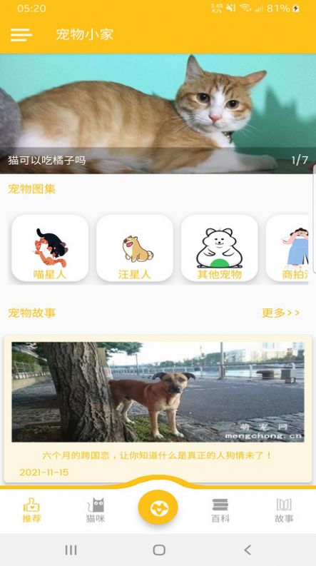 宠物小家图3