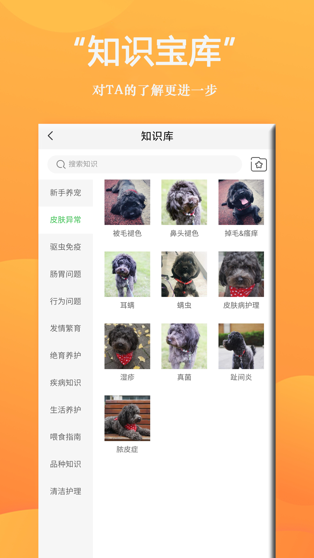 狗狗Bing商城手机版图3