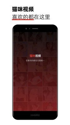 新版猫咪3.0.1官网版图3