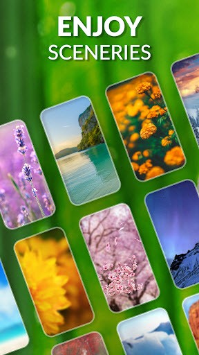 ZenMatch(植物们配对)图5