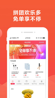 锦鲤团图2