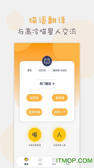 截图4