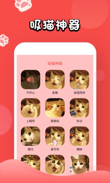 猫语翻译大师图3