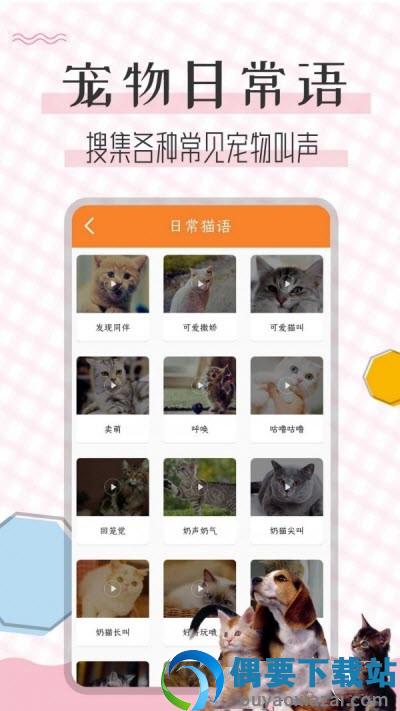 猫语翻译宝app截图3