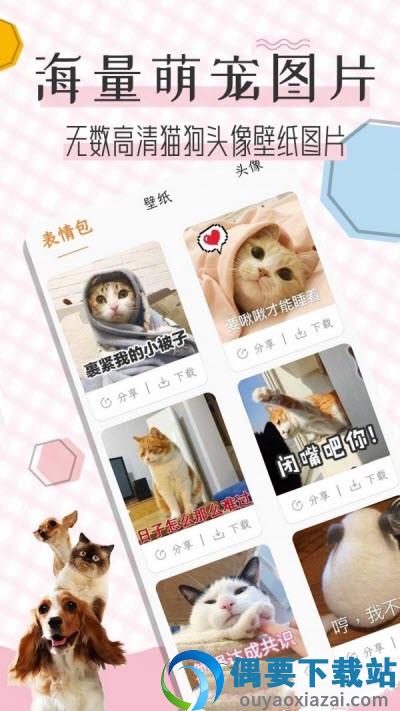 猫语翻译宝app截图1