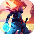 deadcells1.1.14版本