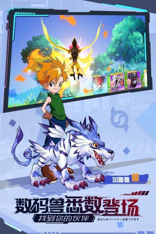 宠物集结游戏截图4