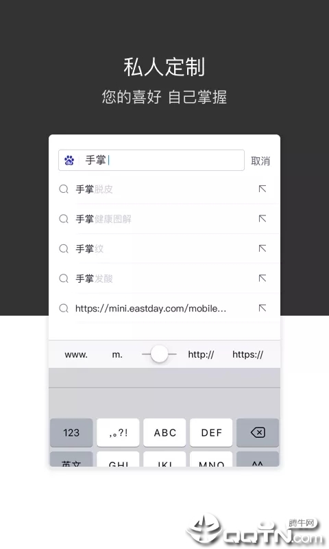 绿叶浏览器截图2