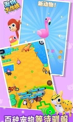 宠物大作战安卓版图2