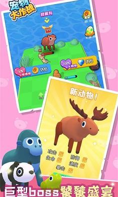 宠物大作战安卓版图3