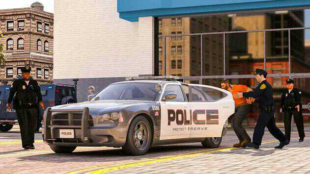 虚拟警察模拟器手机版图2