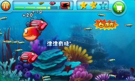 大鱼吃小鱼超级进化图1