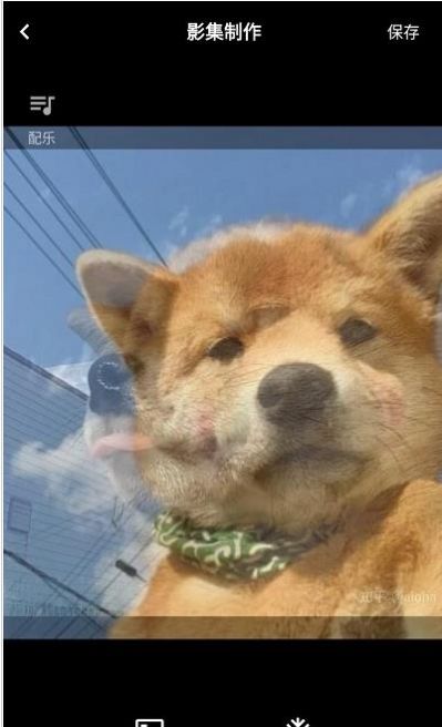 momo复古滤镜app图3