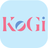KoGi可及图标