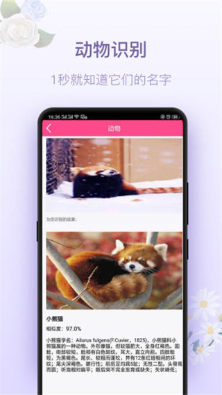 拍照识花神器图5
