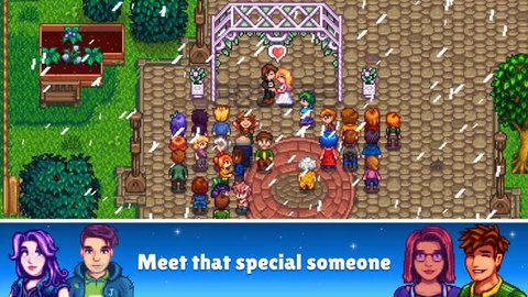 stardewvalley图3