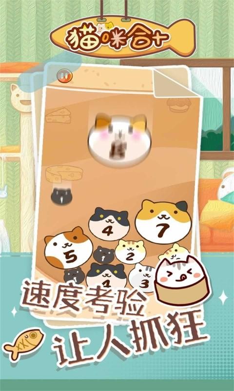 猫咪合十1.0图3