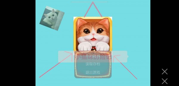 小猫咪历险记截图2