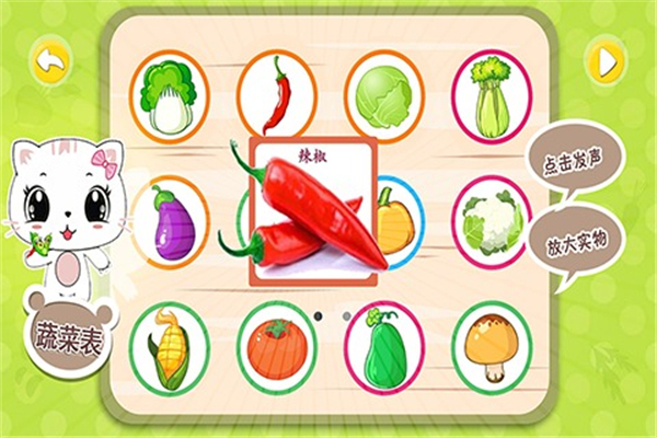 宝宝认蔬菜图3