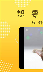 萌宝照相机图1