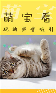 萌宝照相机图2