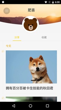 Light图2