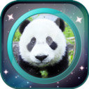 我的前世今生图标