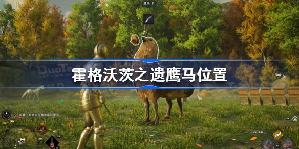 霍格沃茨遗产鹰马在哪 霍格沃茨之遗鹰马位置