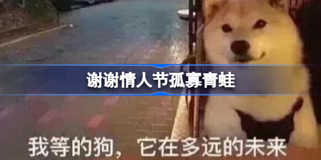 情人节孤寡表情包图片 谢谢情人节孤寡青蛙