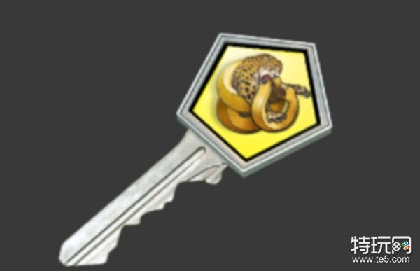 CSGO怎么买箱子和钥匙(CSGO性价比高开箱平台app推荐)