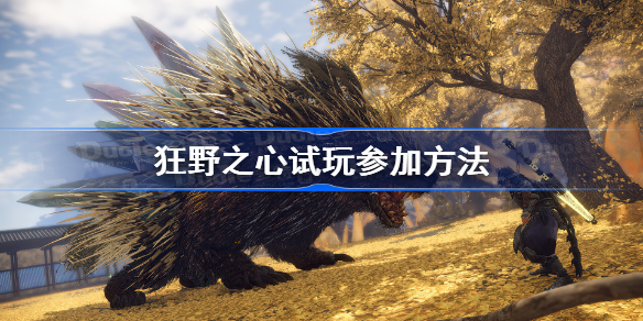 狂野之心试玩参加方法 狂野之心怎么参与试玩