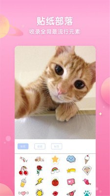 neon霓虹相机图2