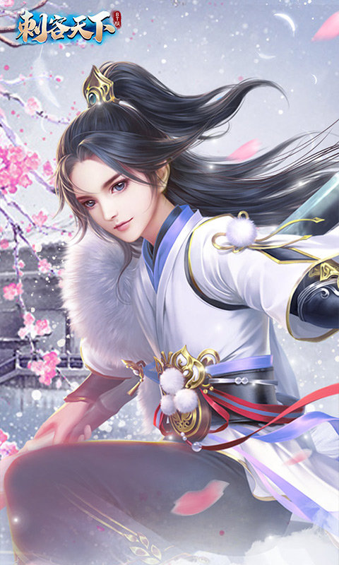 刺客天下手游图5