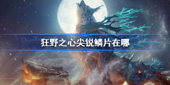 狂野之心尖锐鳞片在哪 狂野之心尖锐鳞片获得攻略