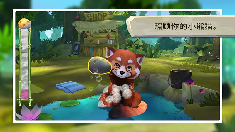 我的小熊猫图2