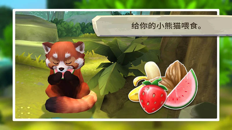 我的小熊猫图5