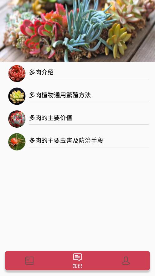 小墨多肉日记图3