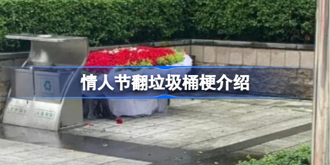 情人节翻垃圾桶是什么梗 情人节翻垃圾桶梗介绍