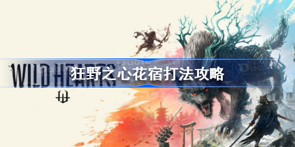 狂野之心花宿怎么打 狂野之心花宿打法攻略