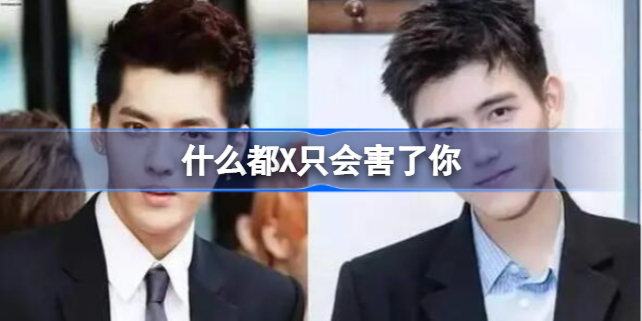 什么都X只会害了你是什么梗 什么都只会害了你的梗出自哪里