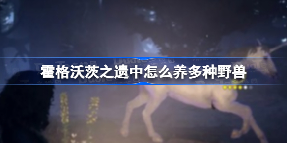 霍格沃茨之遗中可以养几种野兽 霍格沃茨之遗中怎么养多种野兽