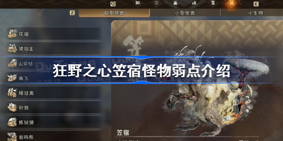 狂野之心笠宿怪物弱点是什么 狂野之心笠宿怪物弱点介绍