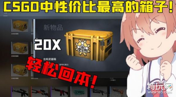 csgo开哪个箱子性价比高_csgo回本率最高的箱子推荐