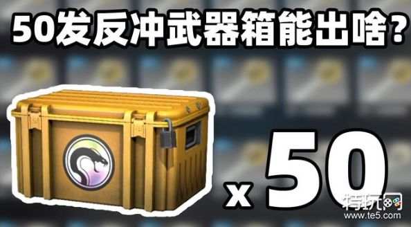 csgo开哪个箱子性价比高_csgo回本率最高的箱子推荐