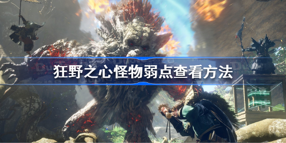 狂野之心怪物弱点怎么看 狂野之心怪物弱点查看方法