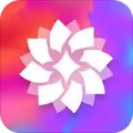 超清动态壁纸app手机版