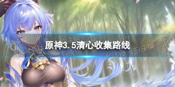 原神清心分布图3.5清心收集路线