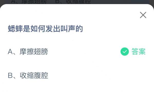 蟋蟀是如何发出叫声的