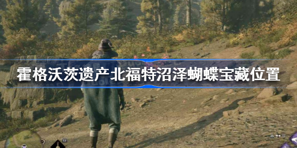 霍格沃茨之遗北福特沼泽蝴蝶在哪 霍格沃茨遗产北福特沼泽蝴蝶宝藏位置